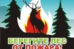 В лесах Чувашской Республики начался пожароопасный сезон.